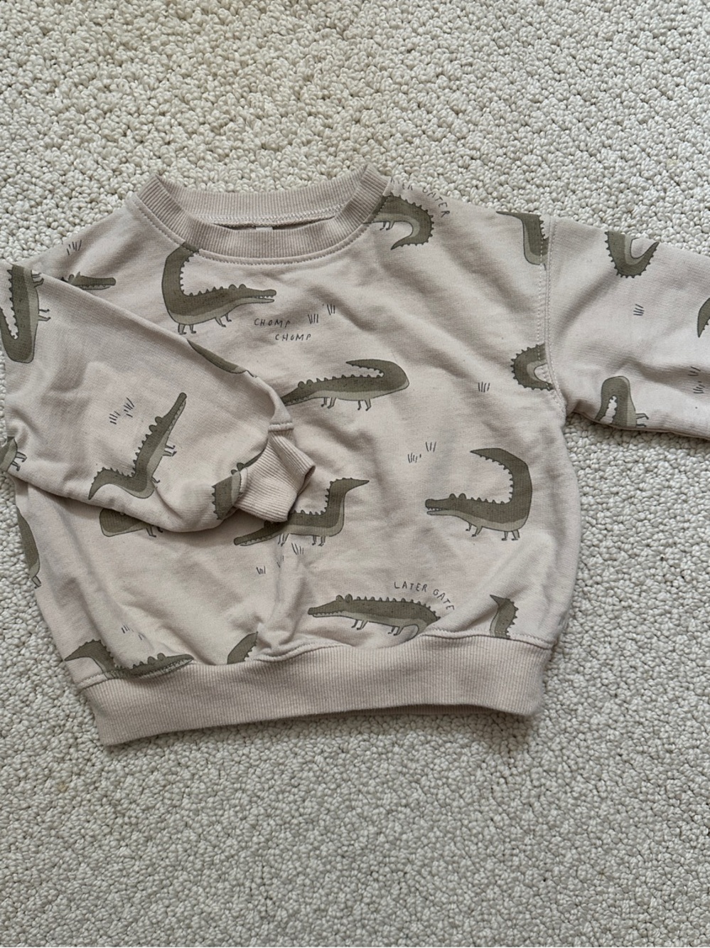Rylee + Cru Beige Kids Crocodile Print Sweatshirt
